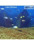 JBL Aquadur Malawi/Tanganjika250g