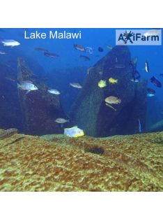 JBL Aquadur Malawi/Tanganjika250g