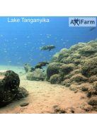 JBL Aquadur Malawi/Tanganjika250g