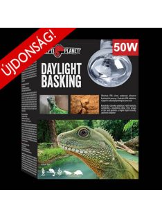   Reptil Basking Daylight All in One - természetes nappali fényt sugárzó izzó - (50W)