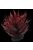 Repti Planet Plant Agave Red - műnövény (piros Agave) 18cm