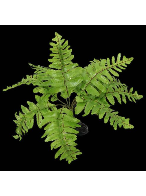 Repti Planet Plant Nephrolepis - Terráriumi műnövény dekoráció(Nephrolepis) 20cm