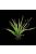 Repti Planet Plant Spartina - Terráriumi műnövény dekoráció (Spartina) 30cm