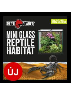   Repti Planet mini Glass Reptile Habitat - üveg terrárium  (20x20x20cm)