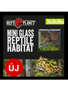   Repti Planet mini Glass Reptile Habitat - üveg terrárium  (20x20x30cm)