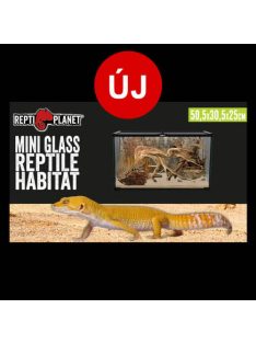   Repti Planet mini Glass Reptile Habitat - üveg terrárium  (50,5x30,5x25cm)