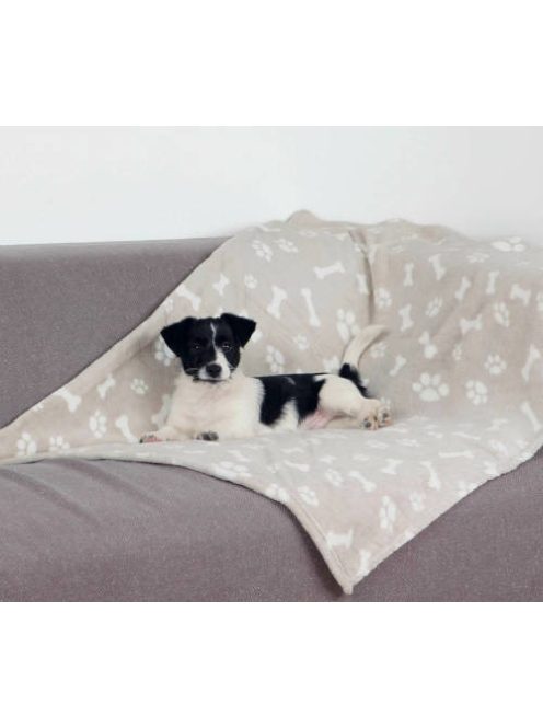 Trixie Kenny Blanket - takaró (bézs,mintás) macskák részére (100x150cm)