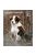 Trixie Calendar Australian Shepherd - falinaptár (Ausztrál juhászkutya) 2021
