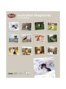 Trixie Calendar Australian Shepherd - falinaptár (Ausztrál juhászkutya) 2021