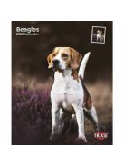 trixie 12548 naptár beagle