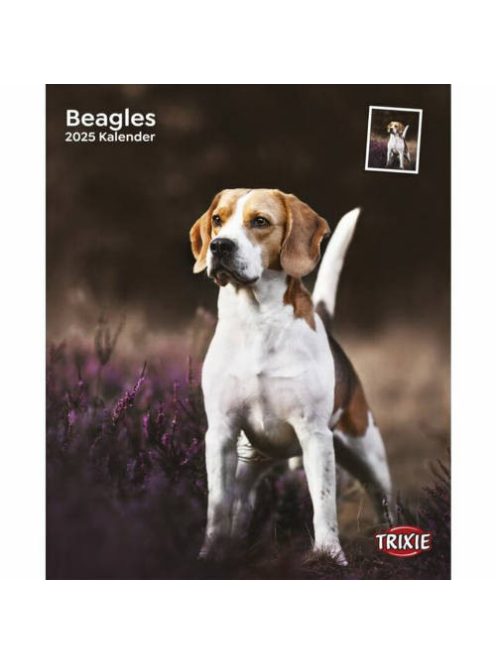 trixie 12548 naptár beagle