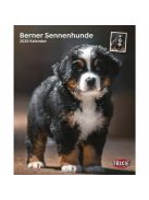 Trixie Calendar Bernese Mountain Dogs - falinaptár (Berni pásztorkutya) 2021