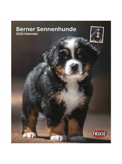 Trixie Calendar Bernese Mountain Dogs - falinaptár (Berni pásztorkutya) 2021