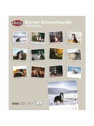 Trixie Calendar Bernese Mountain Dogs - falinaptár (Berni pásztorkutya) 2021