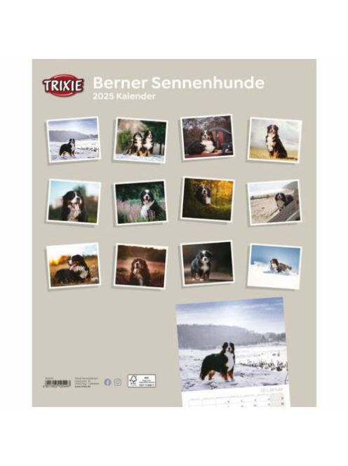 Trixie Calendar Bernese Mountain Dogs - falinaptár (Berni pásztorkutya) 2021