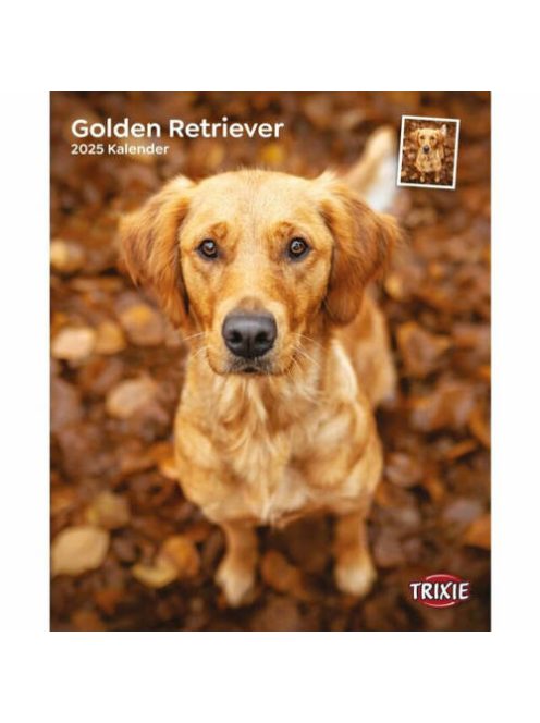 trixie 12560 naptár Golden Retriever
