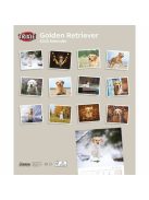 trixie 12560 naptár Golden Retriever