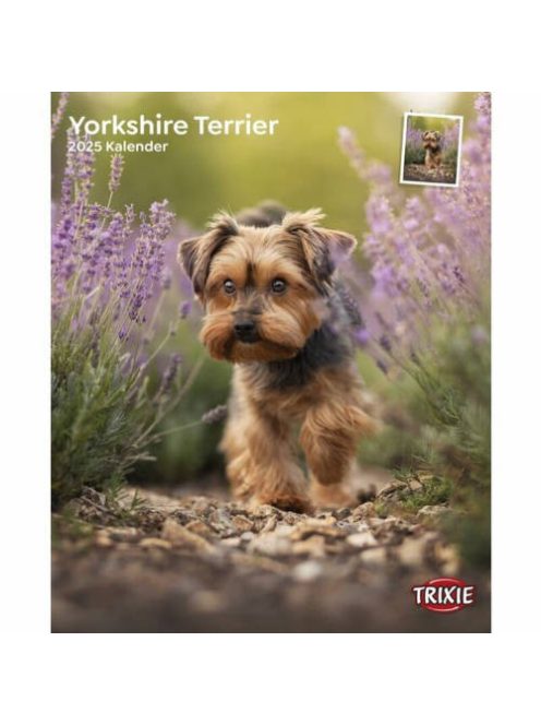 Trixie Calendar Yorkshire Terriers - falinaptár (Yorkshire Terrier) 2021