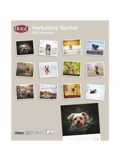 Trixie Calendar Yorkshire Terriers - falinaptár (Yorkshire Terrier) 2021