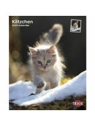 Trixie Calendar Kittens - falinaptár (kölyök macskák) 2021