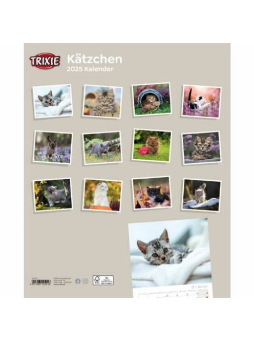 Trixie Calendar Kittens - falinaptár (kölyök macskák) 2021
