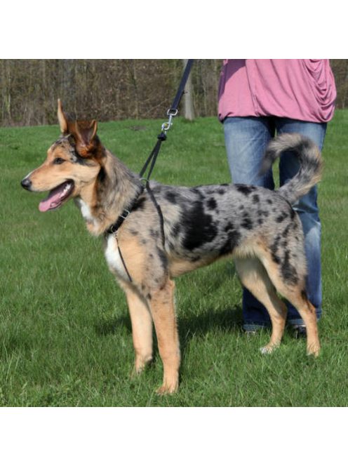 Trixie EasyWalk - Húzásgátló hám - fekete - (S) 27-36cm/20mm