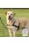 Trixie Lead'n'Walk Soft - húzás elleni hám - fekete -(XS-S) 37-54cm/20mm