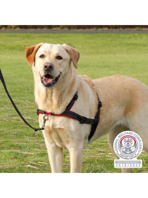 Trixie Lead'n'Walk Soft - húzás elleni hám - fekete -(XS-S) 37-54cm/20mm