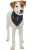 KT24: Trixie Be Nordic neckerchief - kendős nyakörv (sötétkék, mintával) kutyák részére (S) 30cm