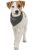 KT24: Trixie Be Nordic neckerchief - kendős nyakörv (sötétszürke, mintával) kutyák részére (S) 30cm