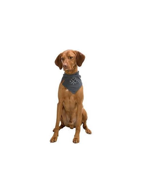 KT24: Trixie Be Nordic neckerchief - kendős nyakörv (sötétszürke, mintával) kutyák részére (M) 40cm