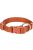 Trixie Premium Collar - nyakörv (rozsda) kutyák részére (S) 25-40cm/15mm