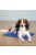 Trixie Cooling Mat - hűtősítő matrac (kék) kutyák részére (65x50cm) L