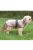 Trixie Tarbes esőkabát 60cm