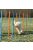 trixie 3206 Dog Activity játék Agility szlalom 12db 115x3cm