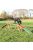 Trixie Agility Dogwalk - agility akadály (palló) kutyák részére (456x64x30cm)
