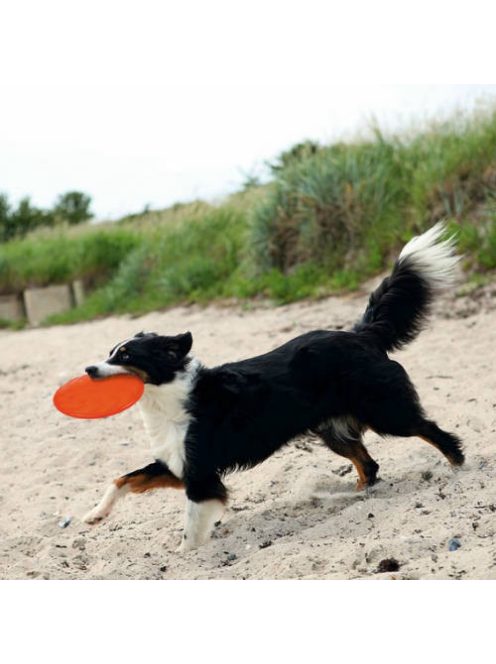Trixie Dog Disc - termoplasztikus gumi játék (frizbi) kutyák részére (Ø18cm)