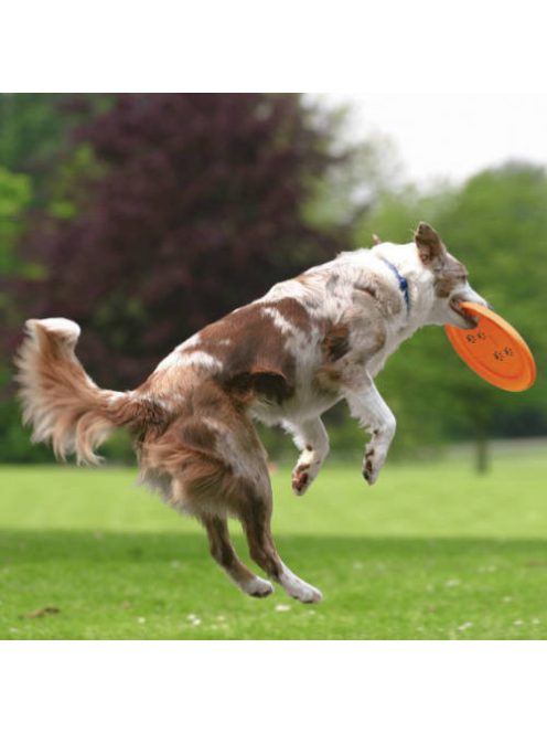 Trixie Dog Disc - robosztus játék (frizbi) kutyák részére (Ø23cm)