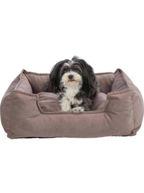 KT24:Trixie Talia bed - szögletes, peremes ágy (barna) kutyák részére (60x50cm)