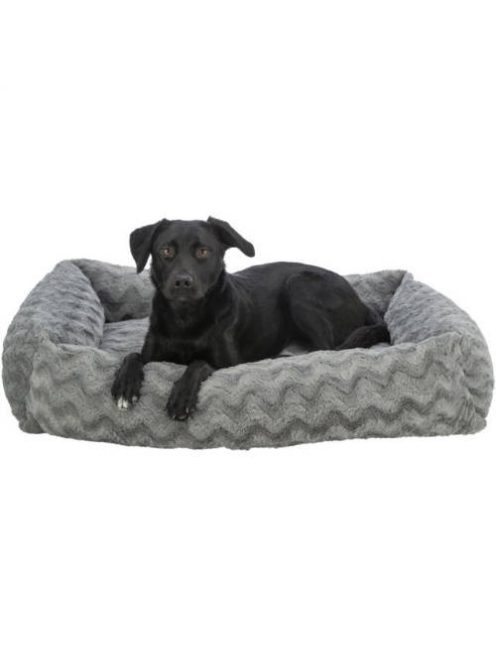Trixie Vital Loki bed - négyszögletes, peremes fekhely (szürke) kutyák részére (80x60cm)