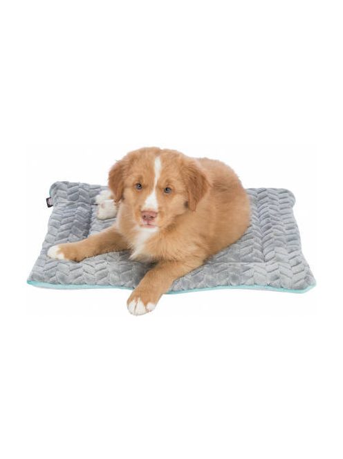 Trixie junior lying mat - fekhely (világosszürke/menta) kölyök kutyák részére (50x40cm)