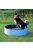 Trixie Dog Pool - medence (kék) kutyák részére (160x30cm)