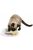 Trixie Junior Kitten Circle - játék (kör) macskák részére (Ø24cm)