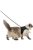 Trixie Soft Harness XXL with Lead - hám és póráz szett (fekete) nagytestű macskák részére (36-54cm/1.2m)