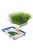Trixie Soft Cat Grass BIO vitaminozott macskafű