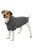 KT25.Trixie BE NORDIC Hoodie Pullover - kapucnis pulóver (szürke) kutyák részére (M) 45cm