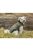 KT25.Trixie Arlay Dog Coat - kabát (sötétzöld) kutyák részére (XXS) 24cm