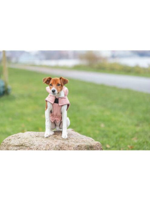 KT25.Trixie Lesmont téli kabát, S:36 cm, sárgabarack