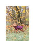 Trixie Pirou téli kabát hámmal, XXS:24 cm, sangria