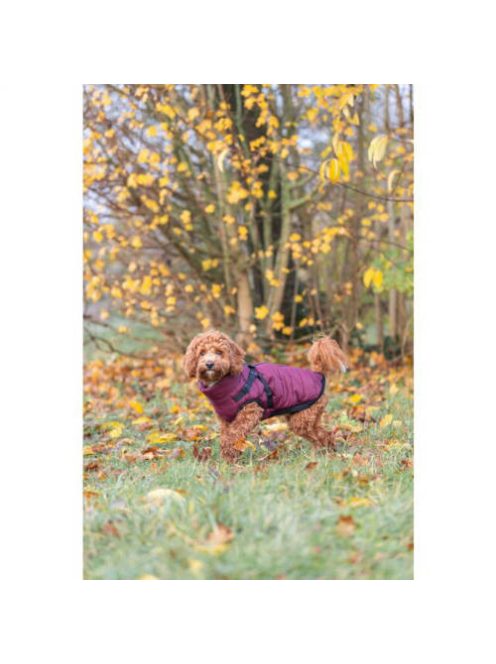 Trixie Pirou téli kabát hámmal, XXS:24 cm, sangria